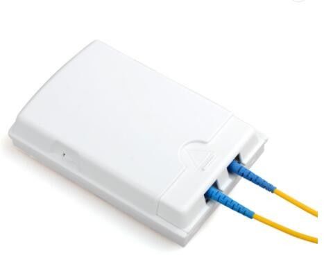 2 SGS montados en la pared a prueba de polvo de la caja del acceso de la fibra óptica de la base FTTH